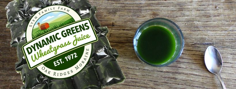 Dynamic Greens: Wheatgrass