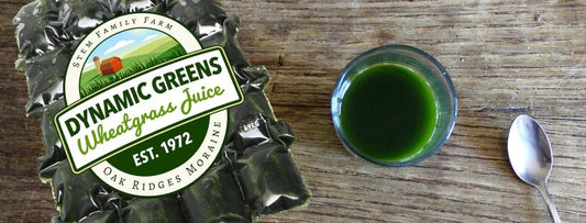 Dynamic Greens: Wheatgrass